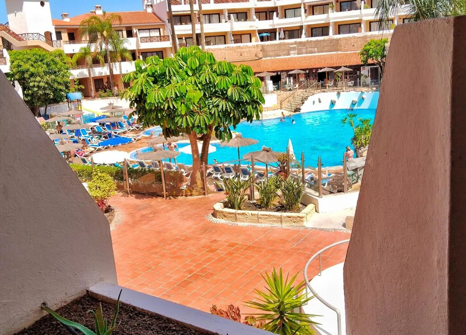 Appartamento Maximar otto posti piscina riscaldata Arona   Arona (Tenerife)